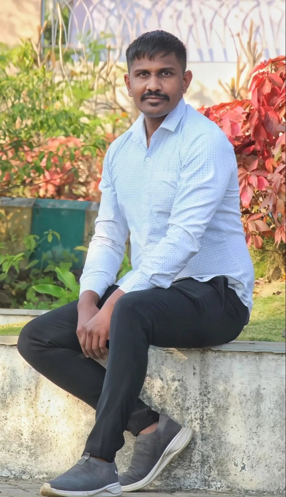 Groom Profile